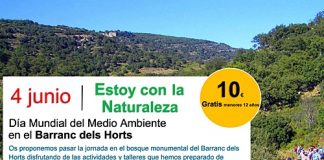 CARTEL Dia mundial medio ambiente CASTELLON EN RUTA COMUNIDAD VALENCIANA