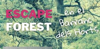 Escape Forest en el Barranc dels Horts