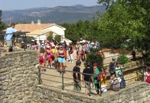 Colonia de verano Seidia 2026