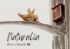 Ruta familiar Barranc dels Horts amb contacontes i taller Naturalia