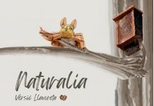 Ruta familiar Barranc dels Horts amb contacontes i taller Naturalia